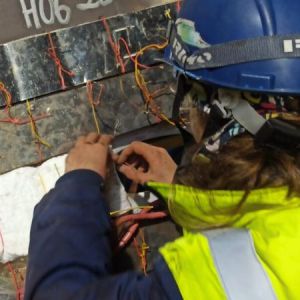 proyecto bravetern